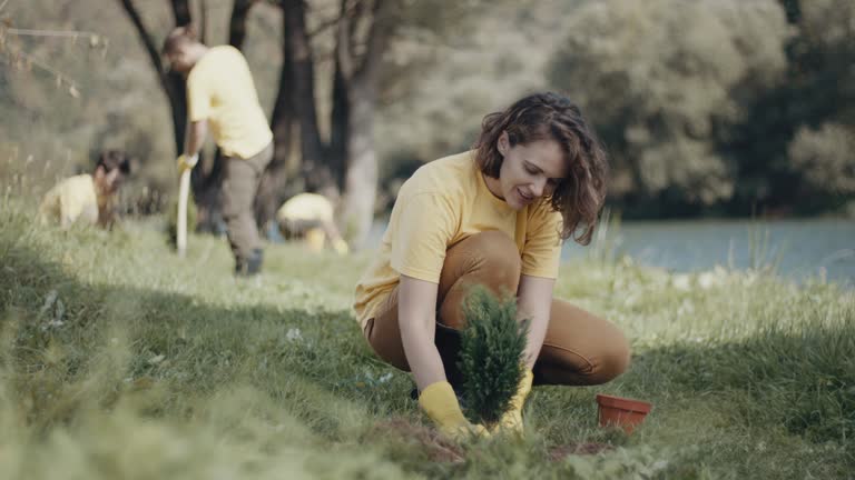 Best Organic Lawn Care Solutions  in Frederick, CO