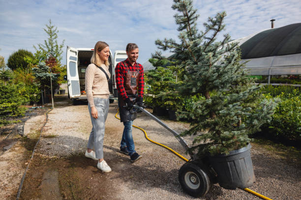 Lawn Maintenance Plans in Frederick, CO